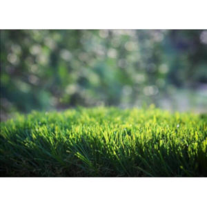 artificial-grass-durable-plastic