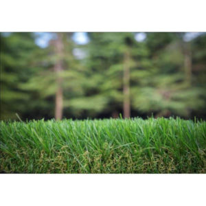 artificial-grass-ever-green